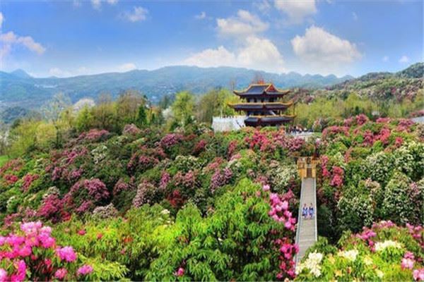 贵阳十大最值得去的景点：甲秀楼上榜，第三杜鹃花海