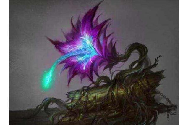 世界十大上濒临灭绝的植物 尸香魔芋上榜，第一名为笔筒树