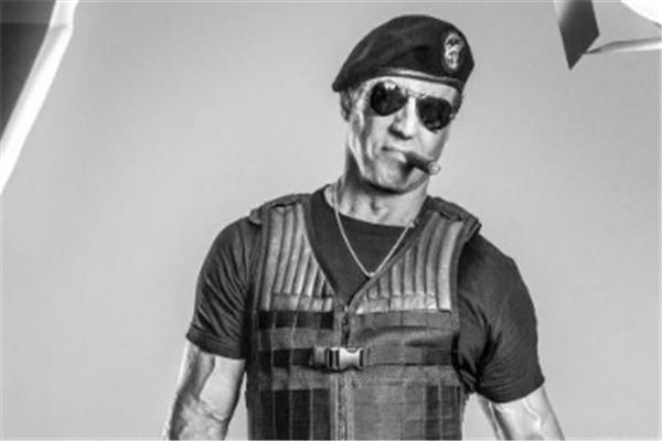 好莱坞十大硬汉排行榜：道恩·强森上榜，施瓦辛格仅第二