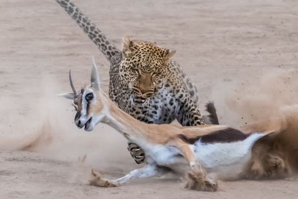 BBC十大必看纪录片排行榜：南太平洋上榜，第七上映最早