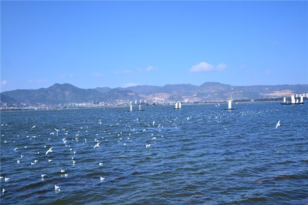 昆明十大风景名胜区排行榜：海埂大坝上榜，云南民族村第十