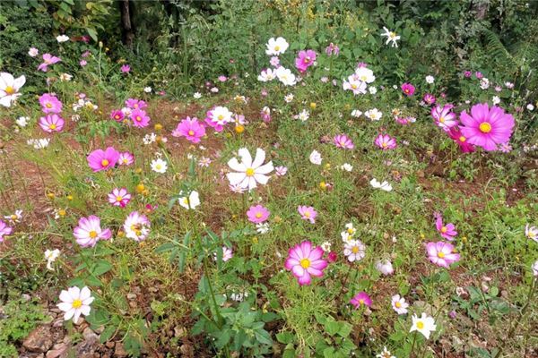 昆明十大风景名胜区排行榜：海埂大坝上榜，云南民族村第十