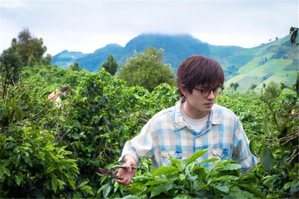 2020年最火喜剧电影:都是今年上映,《一点就到家》上榜