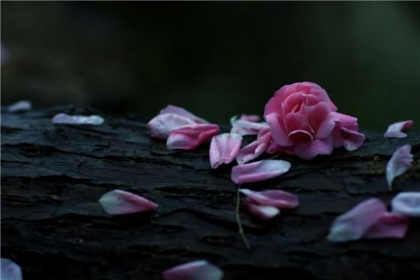 十大韩语经典歌曲 江南style是韩国经典歌曲