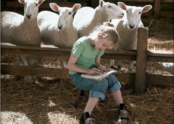 7部必看亲子电影 寒假带着孩子一起去看吧