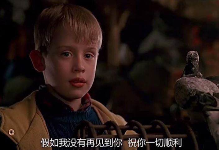 7部必看亲子电影 寒假带着孩子一起去看吧