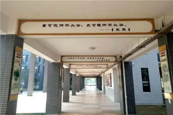 常德市公立小学排名榜 常德市工农小学上榜第三设施全面
