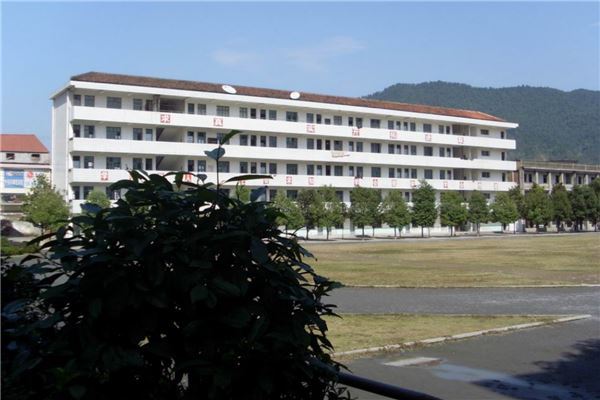 常德市公立小学排名榜 常德市工农小学上榜第三设施全面