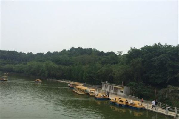 云浮十大公园广场排名:百合广场上榜,第四新开不久