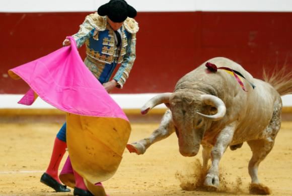 世界十大极限运动排行，第一被叫停，第八是西班牙传统