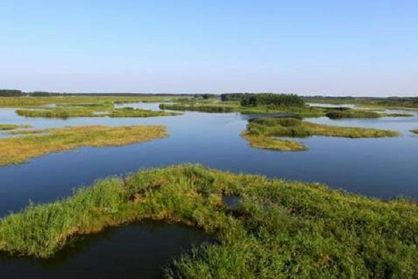 沈阳十大免费景点：万泉公园上榜，第七本地人超爱去