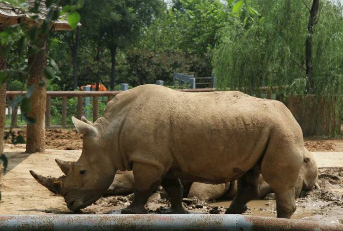 世界最著名十大动物园 赫尔辛基位列第一，中国无一上榜