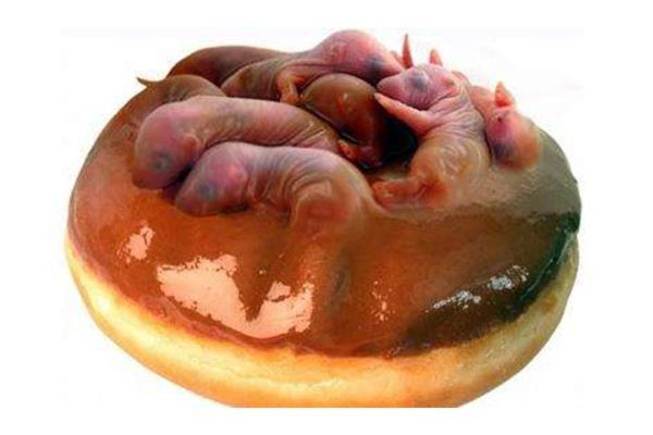 中国十大禁菜 三吱儿既恐怖又恶心