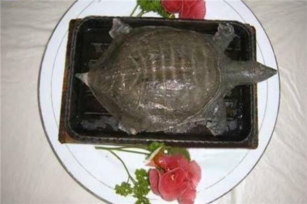 中国十大禁菜 三吱儿既恐怖又恶心