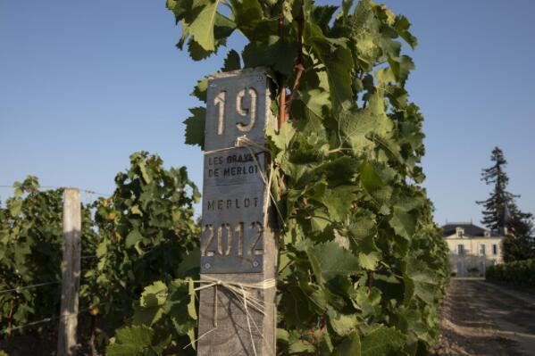 十大世界级著名酒庄，白马酒庄上榜，第一保持着世界最贵葡萄酒的记