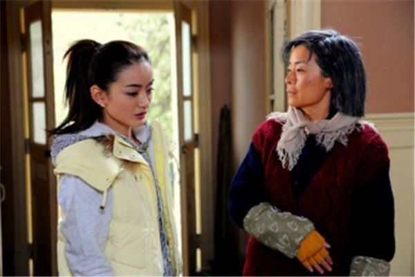 婆媳电视剧排行榜:双城生活上榜，双面胶令人窒息