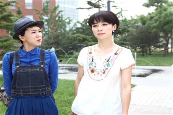 婆媳电视剧排行榜:双城生活上榜，双面胶令人窒息