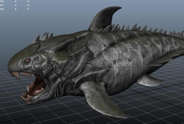 史前十大最强悍的海洋生物，邓氏鱼上榜，第五被认为是现代鲸的祖先