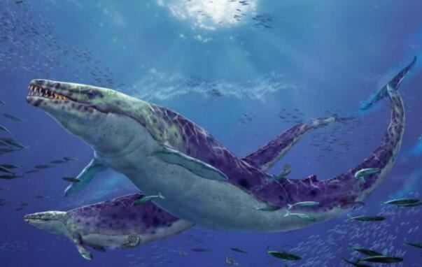 史前十大最强悍的海洋生物，邓氏鱼上榜，第五被认为是现代鲸的祖先