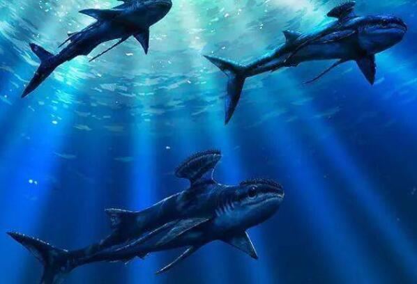 史前十大最强悍的海洋生物，邓氏鱼上榜，第五被认为是现代鲸的祖先