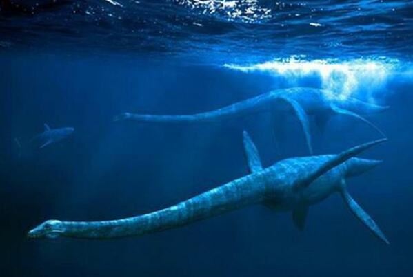 史前十大最强悍的海洋生物，邓氏鱼上榜，第五被认为是现代鲸的祖先