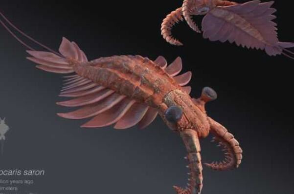 史前十大最强悍的海洋生物，邓氏鱼上榜，第五被认为是现代鲸的祖先