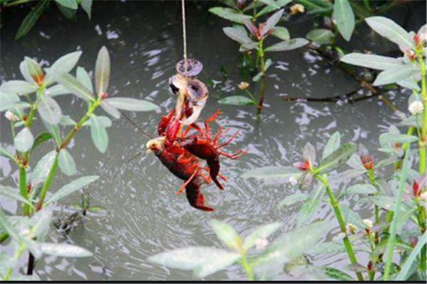 济南十大玩乐中心排行榜：济南德云社上榜，HAHA减压馆第八
