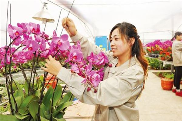 最吃香的十大职业女生 这些工作都很适合女性去做