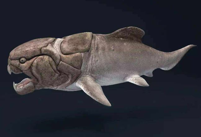 世界十大凶猛古生物 这些史前猛兽，你认识哪些