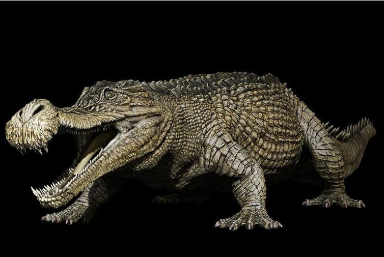 世界十大凶猛古生物 这些史前猛兽，你认识哪些