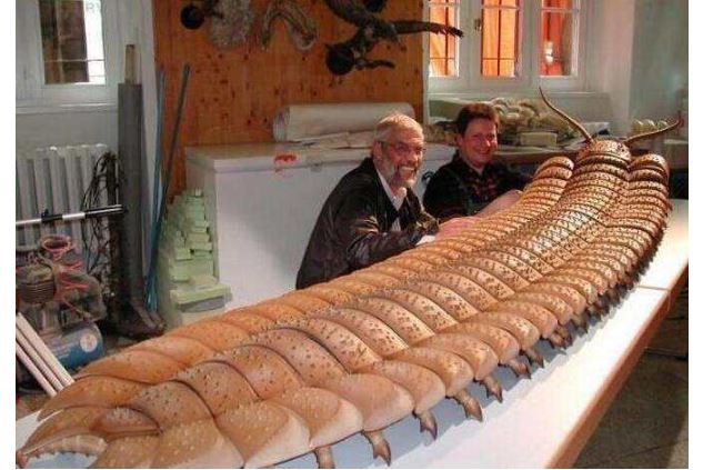 世界十大凶猛古生物 这些史前猛兽，你认识哪些