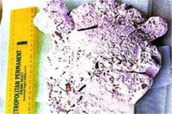 世界十大怪物 幽微有强烈的体臭，最后一个你知道吗