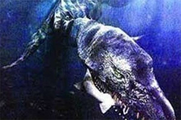 世界十大怪物 幽微有强烈的体臭，最后一个你知道吗