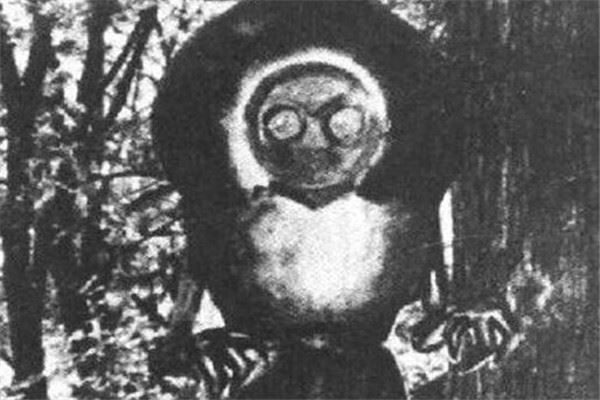 世界十大怪物 幽微有强烈的体臭，最后一个你知道吗