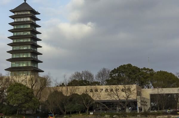 上海十大最出名的博物馆,上海科技馆上榜,第二被誉为文物界半壁江