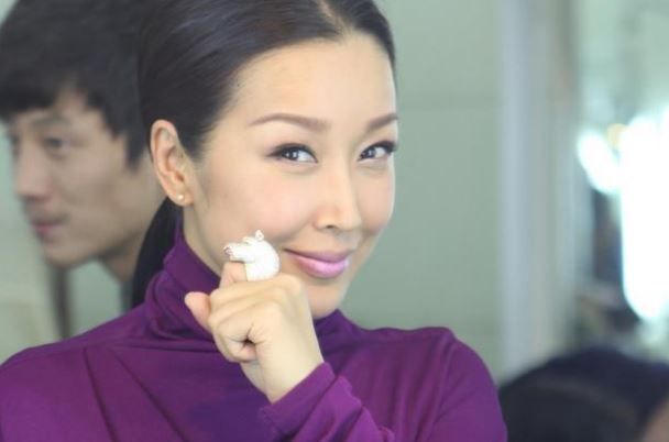 孙悦十大经典歌曲排行榜：《我心飞翔》上榜，第三最为动听