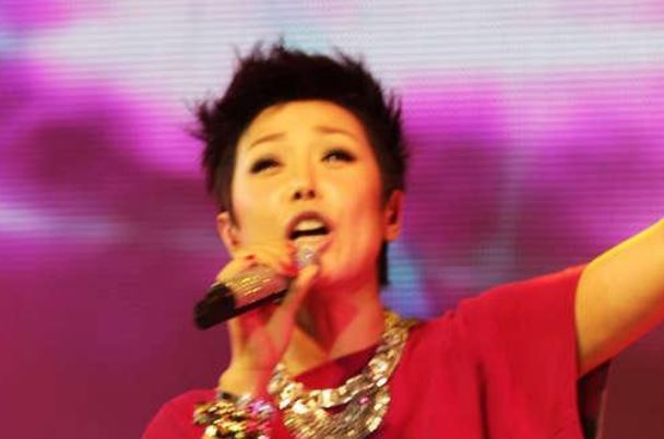 孙悦十大经典歌曲排行榜：《我心飞翔》上榜，第三最为动听