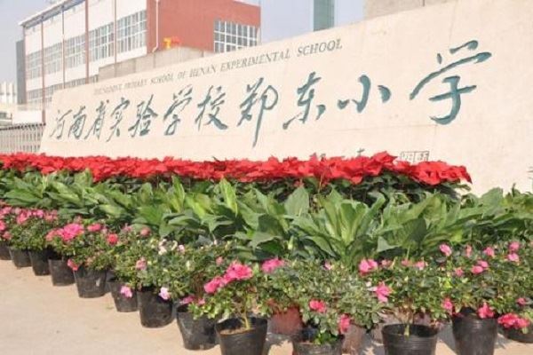 郑州排名前十私立小学:艾瑞德国际第七,第一重视国学