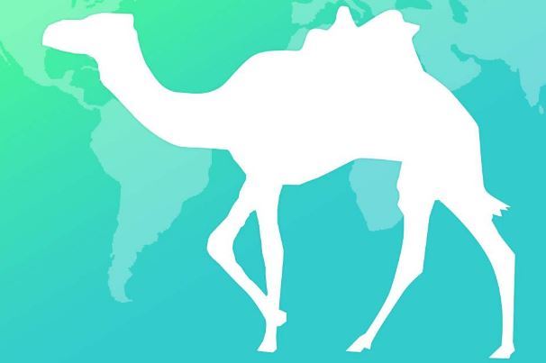 十大旅游网站排名:飞猪上榜,马蜂窝最受年轻人青睐