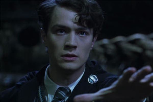 哈利波特十大帅哥排行榜：小天狼星上榜，第十逆袭成功