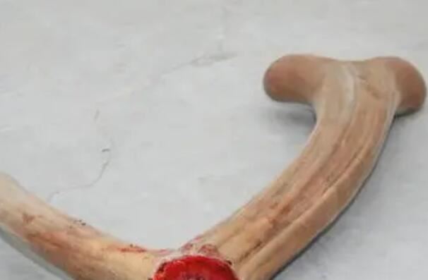 古代宫廷十大补品 燕窝仅第八,第一竟然有毒