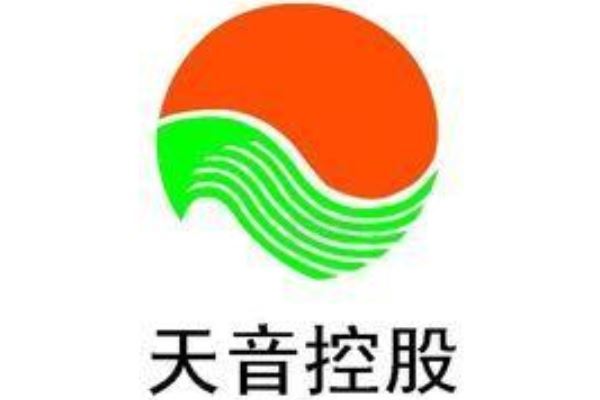 汇金龙头股排行榜 君正集团位居第一，鄂武商A榜上有名