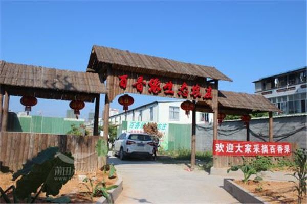 韶关十大热门餐厅排名:新香饭店上榜,第6海贼王主题