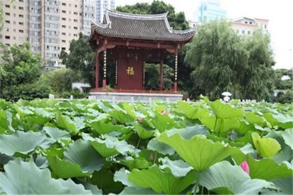 福州十大公园广场排名:西湖公园上榜,第8花海超美