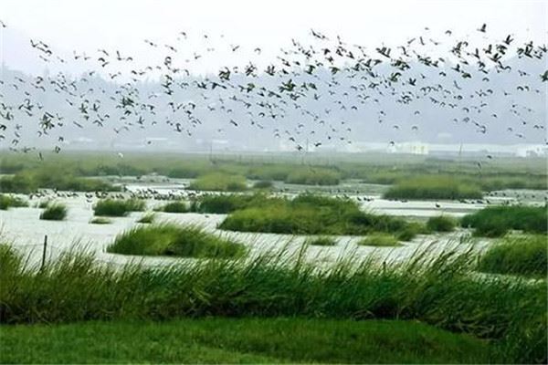 福州十大公园广场排名:西湖公园上榜，第8花海超美