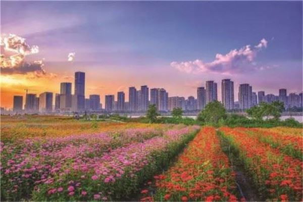 福州十大公园广场排名:西湖公园上榜，第8花海超美