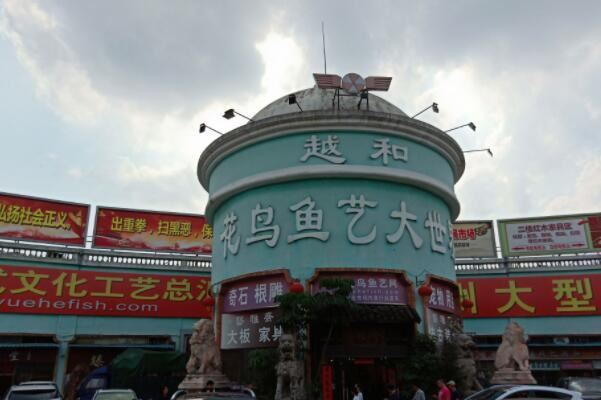 全国十大花鸟鱼虫市场,十里河花鸟市场上榜,第一全国规模最大