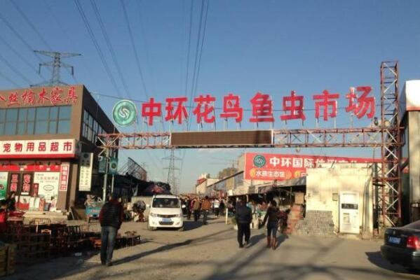 全国十大花鸟鱼虫市场，十里河花鸟市场上榜，第一全国规模最大