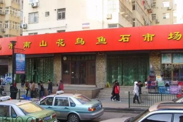 全国十大花鸟鱼虫市场,十里河花鸟市场上榜,第一全国规模最大