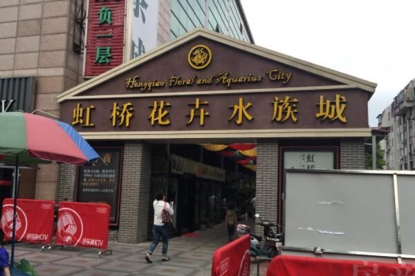 全国十大花鸟鱼虫市场,十里河花鸟市场上榜,第一全国规模最大